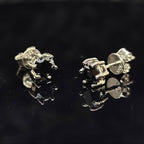 0.6/1.0/2.0cttw Black Round Cut Solitaire Moissanite Stud Earrings